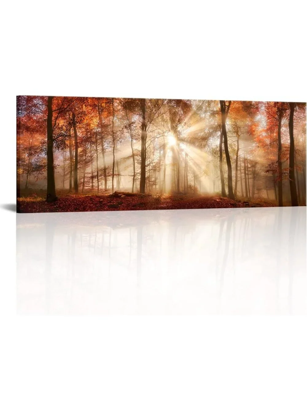 Autumn Forest Canvas Wall Art - Sunlit Nature Scenery for Home & Office Decor